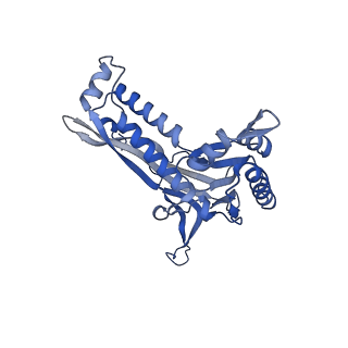 35507_8ika_AE_v1-0
Cryo-EM structure of the encapsulin shell from Mycobacterium tuberculosis