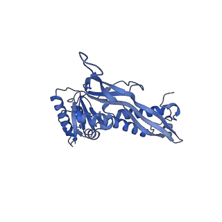 35507_8ika_AF_v1-0
Cryo-EM structure of the encapsulin shell from Mycobacterium tuberculosis