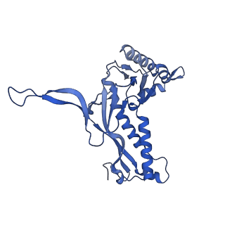 35507_8ika_AG_v1-0
Cryo-EM structure of the encapsulin shell from Mycobacterium tuberculosis