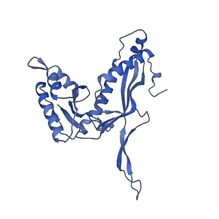 35507_8ika_AH_v1-0
Cryo-EM structure of the encapsulin shell from Mycobacterium tuberculosis