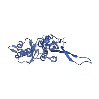 35507_8ika_AI_v1-0
Cryo-EM structure of the encapsulin shell from Mycobacterium tuberculosis