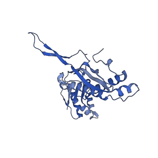 35507_8ika_AJ_v1-0
Cryo-EM structure of the encapsulin shell from Mycobacterium tuberculosis