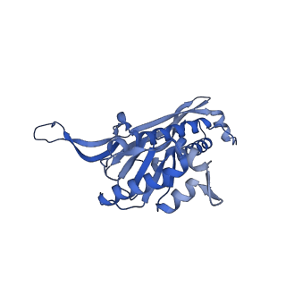 35507_8ika_AK_v1-0
Cryo-EM structure of the encapsulin shell from Mycobacterium tuberculosis