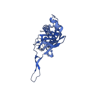 35507_8ika_AL_v1-0
Cryo-EM structure of the encapsulin shell from Mycobacterium tuberculosis