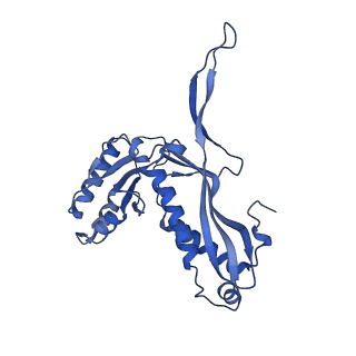 35507_8ika_AN_v1-0
Cryo-EM structure of the encapsulin shell from Mycobacterium tuberculosis