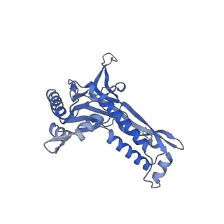 35507_8ika_AP_v1-0
Cryo-EM structure of the encapsulin shell from Mycobacterium tuberculosis