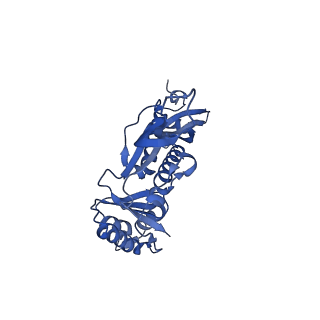 35507_8ika_AR_v1-0
Cryo-EM structure of the encapsulin shell from Mycobacterium tuberculosis