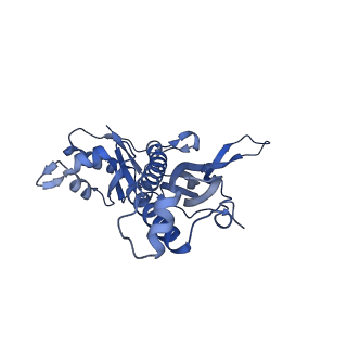 35507_8ika_AS_v1-0
Cryo-EM structure of the encapsulin shell from Mycobacterium tuberculosis