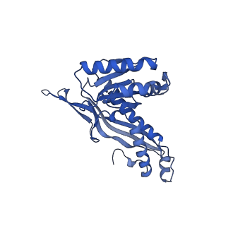 35507_8ika_AV_v1-0
Cryo-EM structure of the encapsulin shell from Mycobacterium tuberculosis