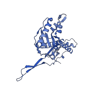 35507_8ika_AW_v1-0
Cryo-EM structure of the encapsulin shell from Mycobacterium tuberculosis