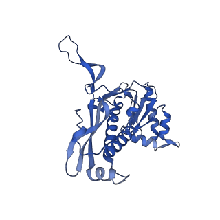 35507_8ika_AX_v1-0
Cryo-EM structure of the encapsulin shell from Mycobacterium tuberculosis