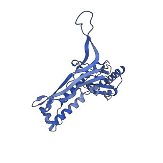 35507_8ika_AY_v1-0
Cryo-EM structure of the encapsulin shell from Mycobacterium tuberculosis