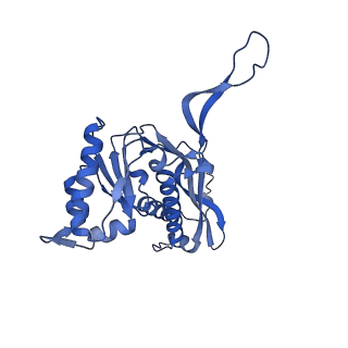 35507_8ika_AZ_v1-0
Cryo-EM structure of the encapsulin shell from Mycobacterium tuberculosis