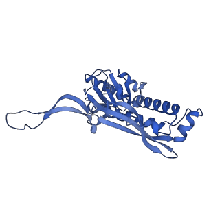 35507_8ika_Aa_v1-0
Cryo-EM structure of the encapsulin shell from Mycobacterium tuberculosis