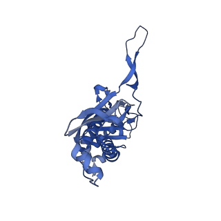35507_8ika_Ab_v1-0
Cryo-EM structure of the encapsulin shell from Mycobacterium tuberculosis