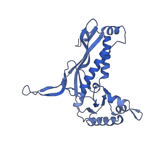 35507_8ika_Ac_v1-0
Cryo-EM structure of the encapsulin shell from Mycobacterium tuberculosis