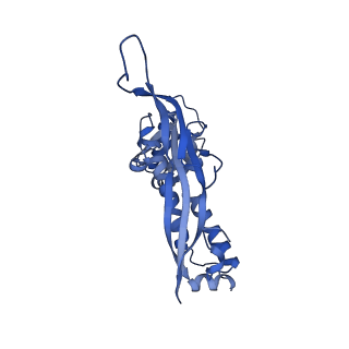 35507_8ika_Ad_v1-0
Cryo-EM structure of the encapsulin shell from Mycobacterium tuberculosis