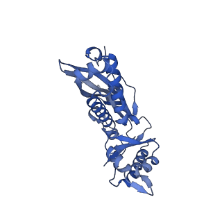 35507_8ika_Ae_v1-0
Cryo-EM structure of the encapsulin shell from Mycobacterium tuberculosis