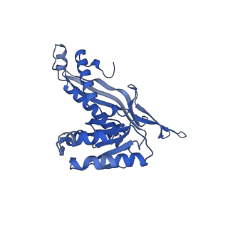 35507_8ika_Af_v1-0
Cryo-EM structure of the encapsulin shell from Mycobacterium tuberculosis