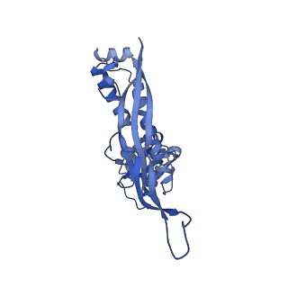35507_8ika_Ag_v1-0
Cryo-EM structure of the encapsulin shell from Mycobacterium tuberculosis