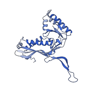 35507_8ika_Ah_v1-0
Cryo-EM structure of the encapsulin shell from Mycobacterium tuberculosis