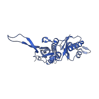35507_8ika_Ai_v1-0
Cryo-EM structure of the encapsulin shell from Mycobacterium tuberculosis