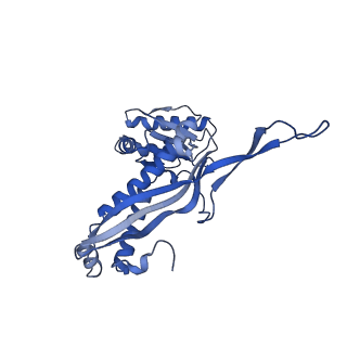 35507_8ika_Aj_v1-0
Cryo-EM structure of the encapsulin shell from Mycobacterium tuberculosis