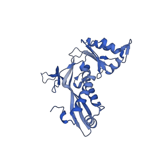 35507_8ika_Ak_v1-0
Cryo-EM structure of the encapsulin shell from Mycobacterium tuberculosis