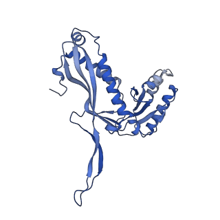 35507_8ika_Al_v1-0
Cryo-EM structure of the encapsulin shell from Mycobacterium tuberculosis
