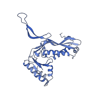 35507_8ika_Am_v1-0
Cryo-EM structure of the encapsulin shell from Mycobacterium tuberculosis