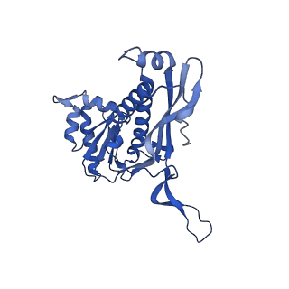 35507_8ika_An_v1-0
Cryo-EM structure of the encapsulin shell from Mycobacterium tuberculosis