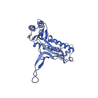 35507_8ika_Ao_v1-0
Cryo-EM structure of the encapsulin shell from Mycobacterium tuberculosis