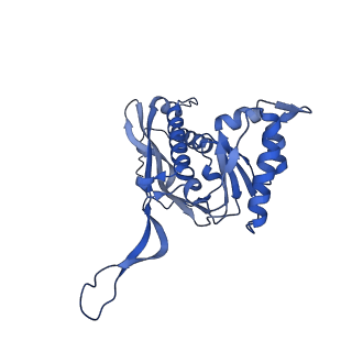 35507_8ika_Ap_v1-0
Cryo-EM structure of the encapsulin shell from Mycobacterium tuberculosis