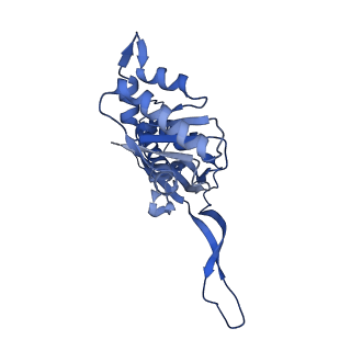 35507_8ika_Aq_v1-0
Cryo-EM structure of the encapsulin shell from Mycobacterium tuberculosis