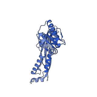 35507_8ika_Ar_v1-0
Cryo-EM structure of the encapsulin shell from Mycobacterium tuberculosis