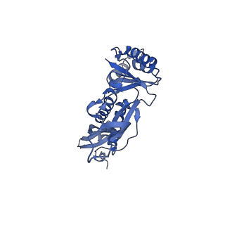 35507_8ika_As_v1-0
Cryo-EM structure of the encapsulin shell from Mycobacterium tuberculosis