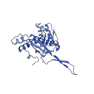 35507_8ika_At_v1-0
Cryo-EM structure of the encapsulin shell from Mycobacterium tuberculosis