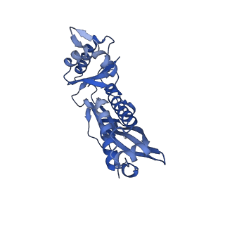 35507_8ika_Au_v1-0
Cryo-EM structure of the encapsulin shell from Mycobacterium tuberculosis