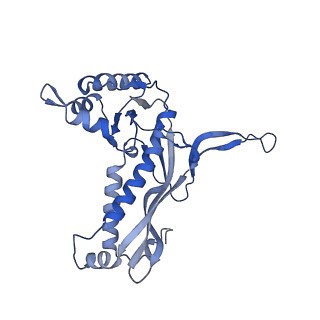 35507_8ika_Aw_v1-0
Cryo-EM structure of the encapsulin shell from Mycobacterium tuberculosis