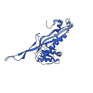 35507_8ika_Ax_v1-0
Cryo-EM structure of the encapsulin shell from Mycobacterium tuberculosis