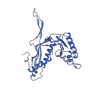 35507_8ika_Ay_v1-0
Cryo-EM structure of the encapsulin shell from Mycobacterium tuberculosis