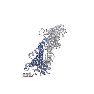 35514_8ikj_R_v1-0
Cryo-EM structure of the inactive CD97