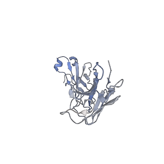 35526_8il3_A_v1-0
Cryo-EM structure of CD38 in complex with FTL004