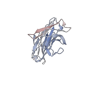 35526_8il3_B_v1-0
Cryo-EM structure of CD38 in complex with FTL004
