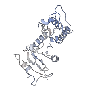 35526_8il3_C_v1-0
Cryo-EM structure of CD38 in complex with FTL004
