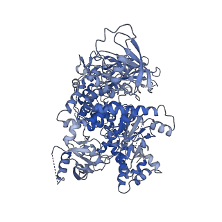 35543_8ilr_A_v1-0
Cryo-EM structure of PI3Kalpha in complex with compound 16