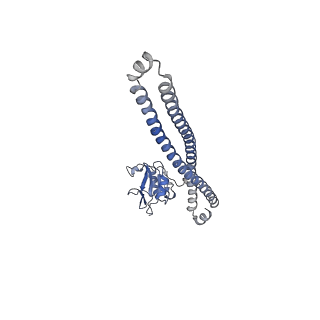 35543_8ilr_B_v1-0
Cryo-EM structure of PI3Kalpha in complex with compound 16