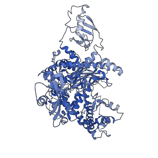35545_8ils_A_v1-0
Cryo-EM structure of PI3Kalpha in complex with compound 17