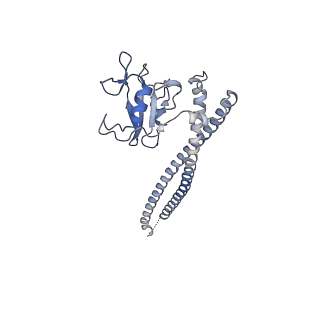35547_8ilv_B_v1-0
Cryo-EM structure of PI3Kalpha in complex with compound 18