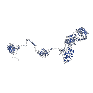 35565_8imi_0_v1-0
A1-A2, A3-A4, B'1-B'2, C'1-C'2 cylinder in cyanobacterial phycobilisome from Anthocerotibacter panamensis (Cluster A)